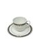 Hutschenreuther Hutschenreuther Biarritz Cup & Saucer   