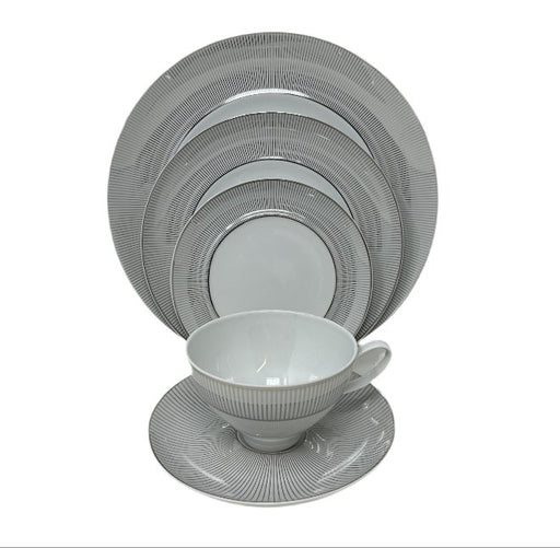 Mikasa Mikasa Platinum Shimmer - 5 Piece Place Setting   