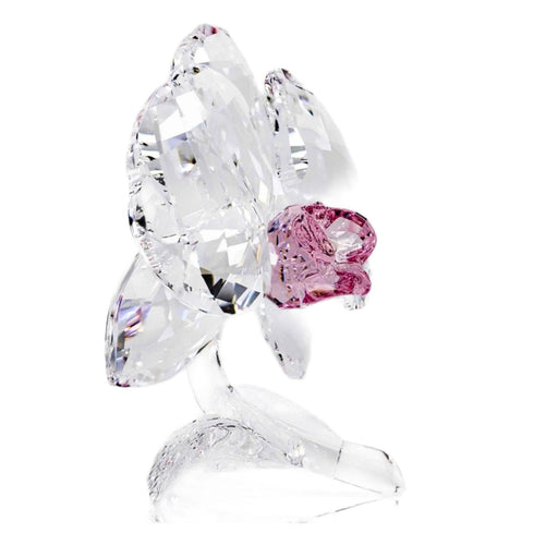 Swarovski Swarovski Crystal Pink Orchid