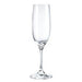 Mikasa Mikasa Nicole Champagne Flute   