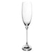 Mikasa Mikasa Nicole Champagne Flute   